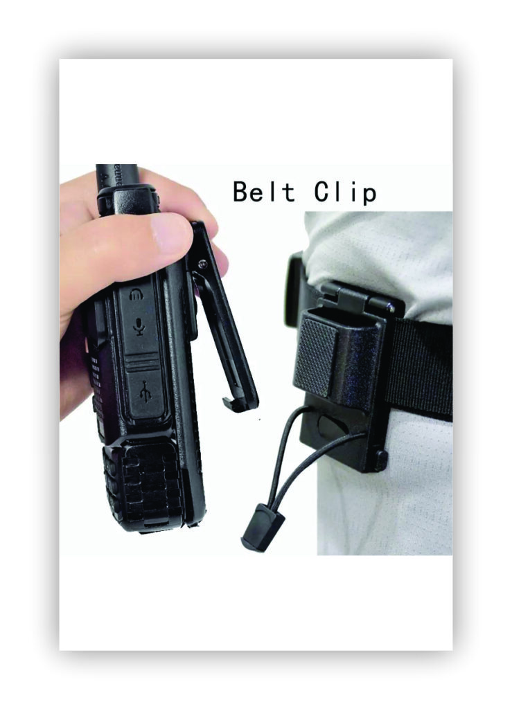 Bel